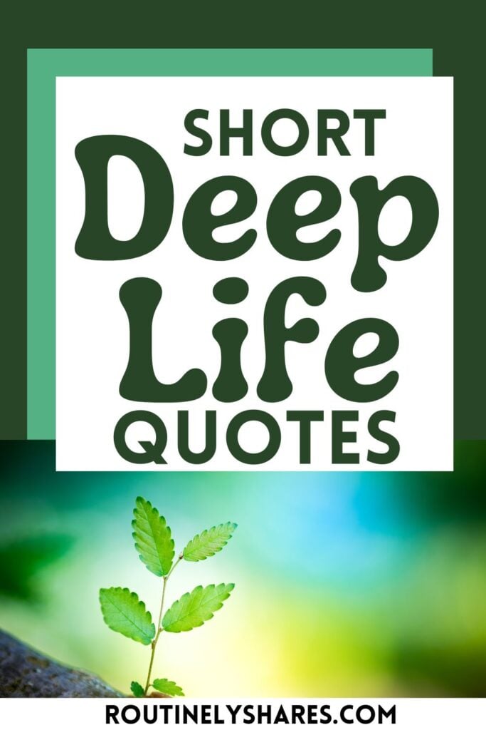 Short deep life quotes