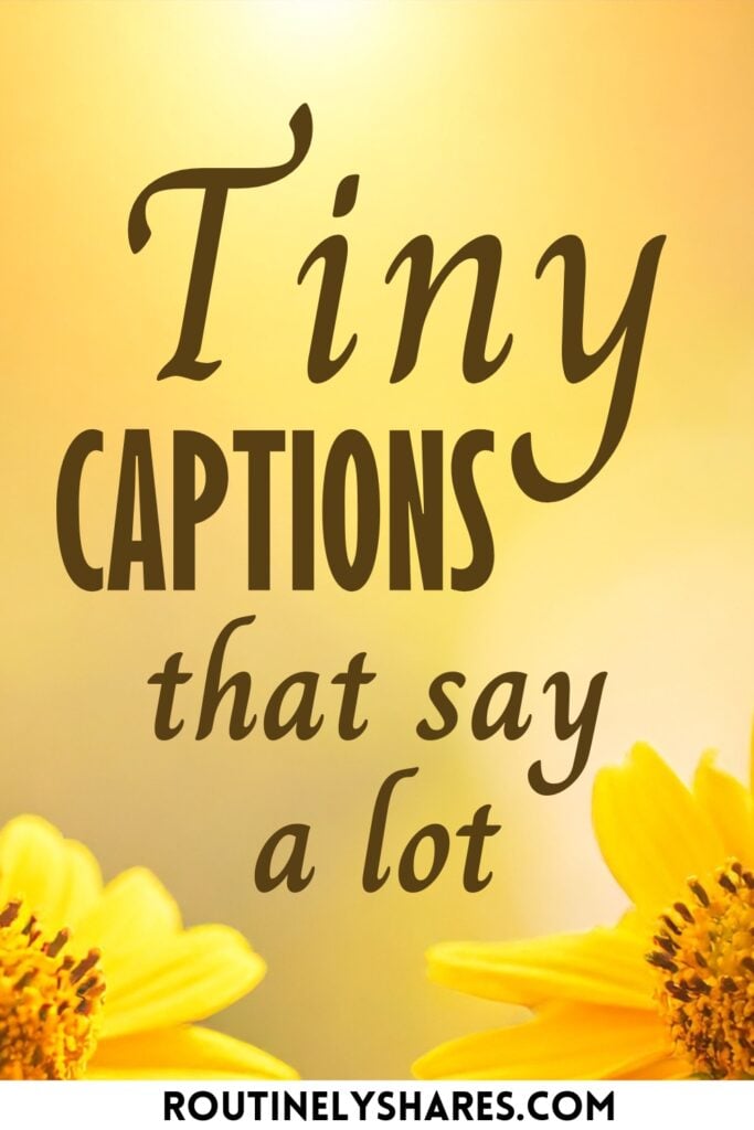 Tiny captions for Instagram