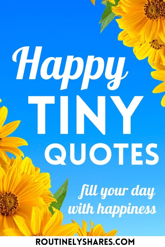 tiny happy quotes about happiness
