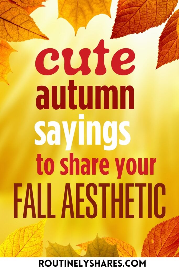 cute fall sayings for signs