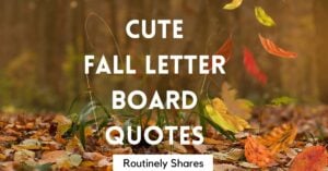 Cute fall letter board quotes and sayings