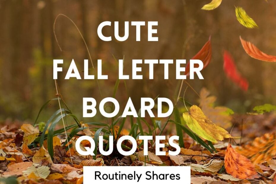 Cute fall letter board quotes and sayings