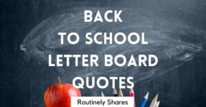 back to school letter board quotes and sayings