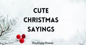 Cute Christmas sayings for cards and signs
