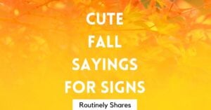 cute fall sayings for signs