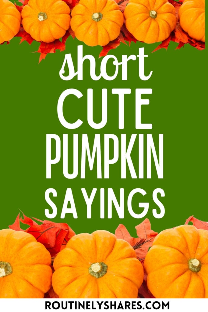 cute pumpkin sayings for signs