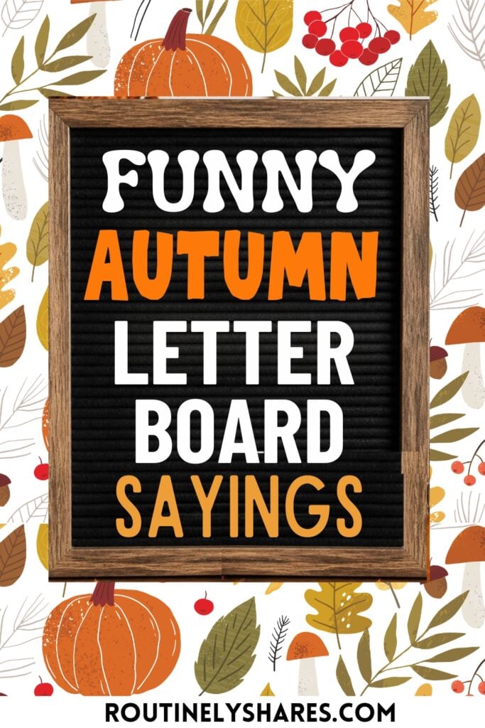 short autumn letter board quotes