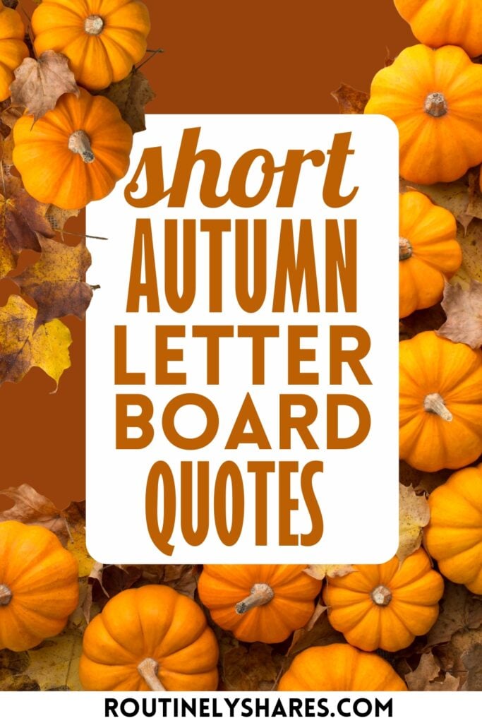 short autumn letter board quotes