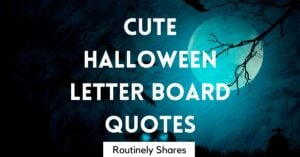 Cute Halloween Letter Board Quotes and sayings