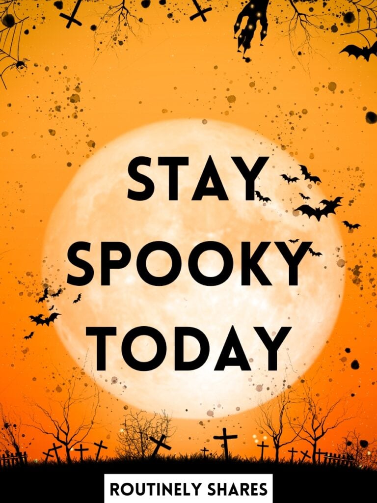 Stay spooky today