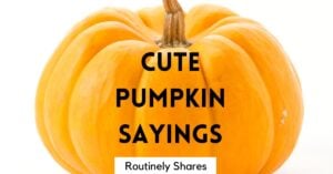 cute pumpkin sayings for signs