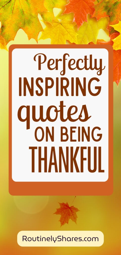 Short quotes about thankfulness
