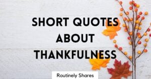 Short quotes about thankfulness