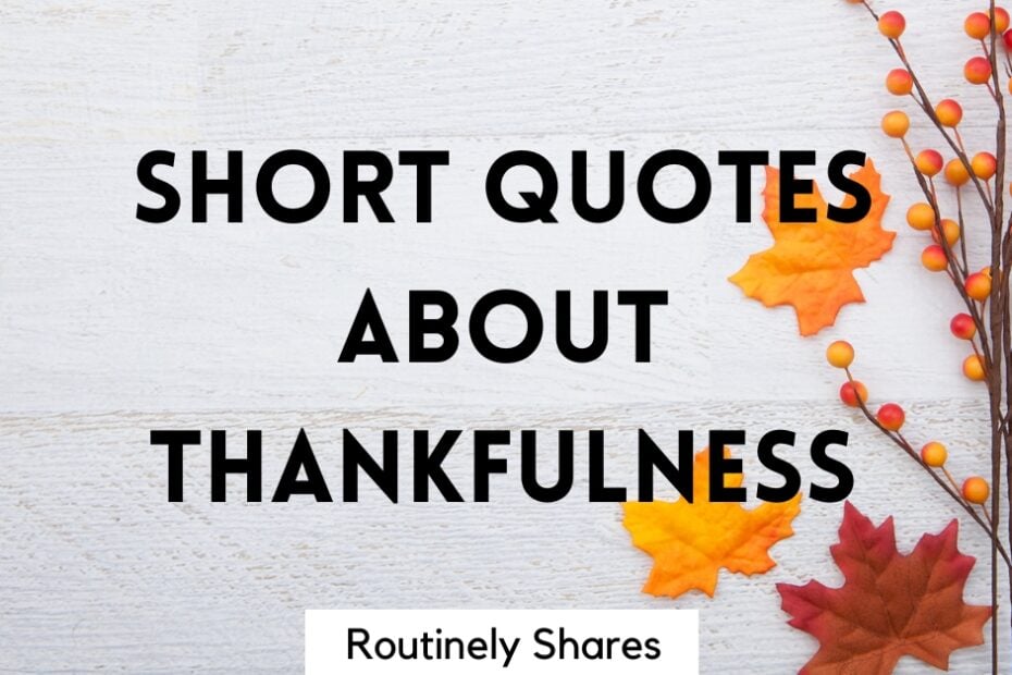 Short quotes about thankfulness
