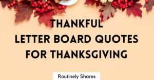 thankful letter board quotes for thanksgiving