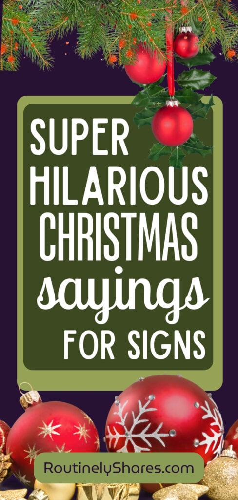 Hilarious Christmas sayings for signs