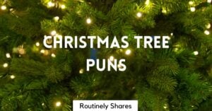 Christmas tree puns