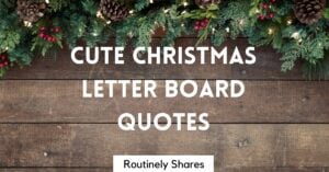 cute Christmas letter board quotes