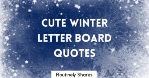 Cute winter letter board quotes